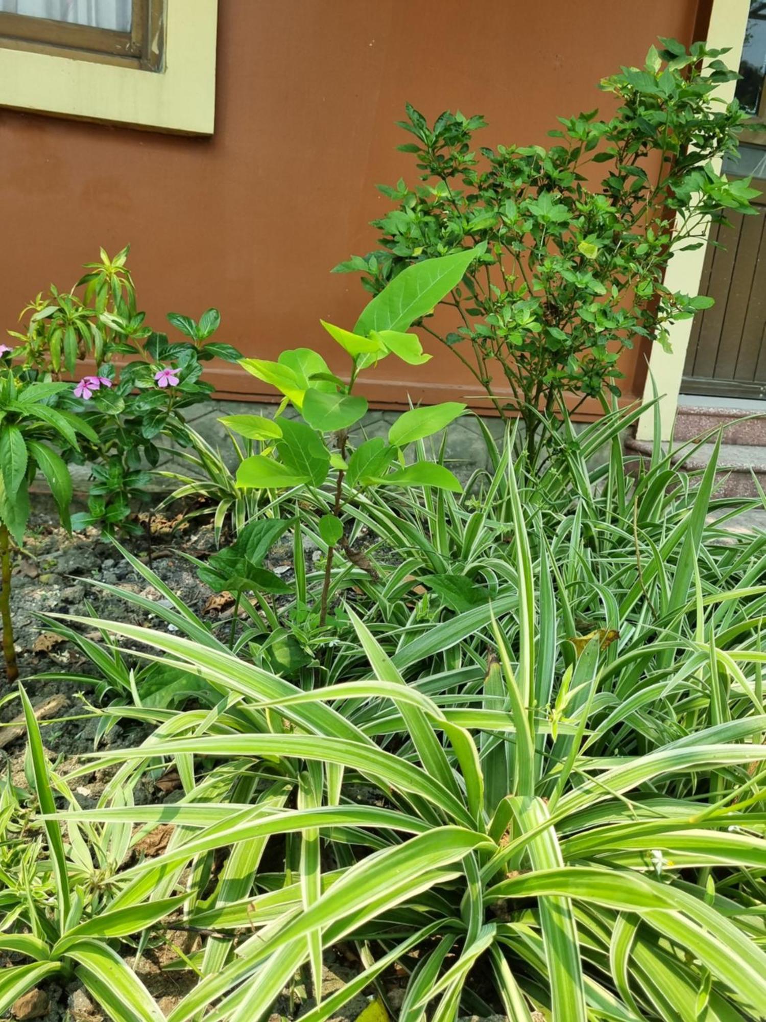 Khach San Vien Dong Hotel Cửa Lò Екстериор снимка